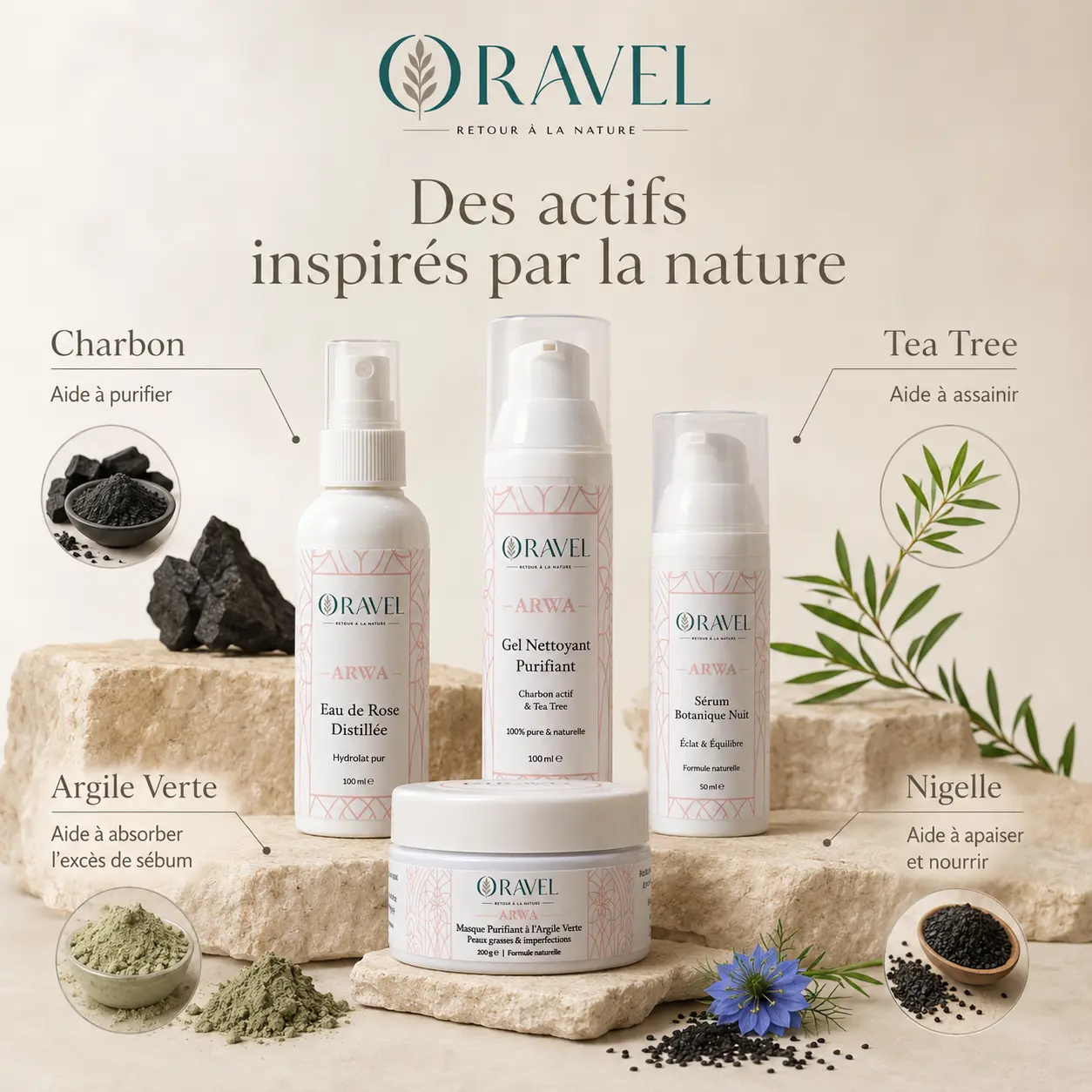 ARWA – Gamme Purifiante & Équilibrante